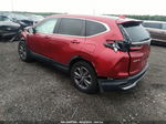 2020 Honda Cr-v Awd Ex Красный vin: 7FARW2H56LE017414