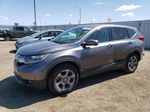 2018 Honda Cr-v Exl Серый vin: 7FARW2H88JE032858