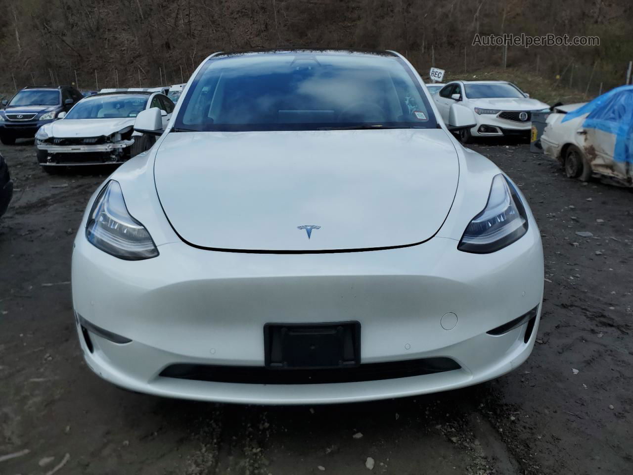 2022 Tesla Model Y  White vin: 7SAYGAEE0NF465785