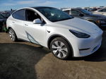 2022 Tesla Model Y  White vin: 7SAYGAEE2NF428835