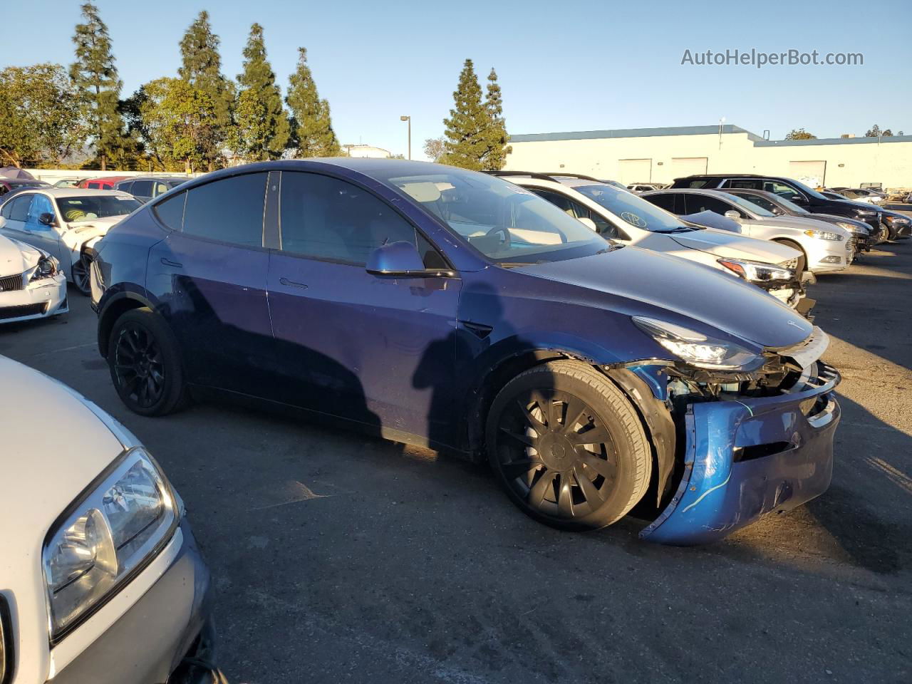 2022 Tesla Model Y  Blue vin: 7SAYGAEE3NF409257