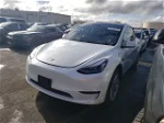 2022 Tesla Model Y  White vin: 7SAYGAEE4NF552024