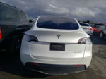 2022 Tesla Model Y  White vin: 7SAYGAEE4NF552024