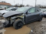 2022 Tesla Model Y  Серый vin: 7SAYGAEE6NF419233