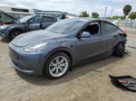 2022 Tesla Model Y  Серый vin: 7SAYGAEE7NF346146