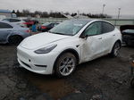 2022 Tesla Model Y  White vin: 7SAYGAEEXNF546115