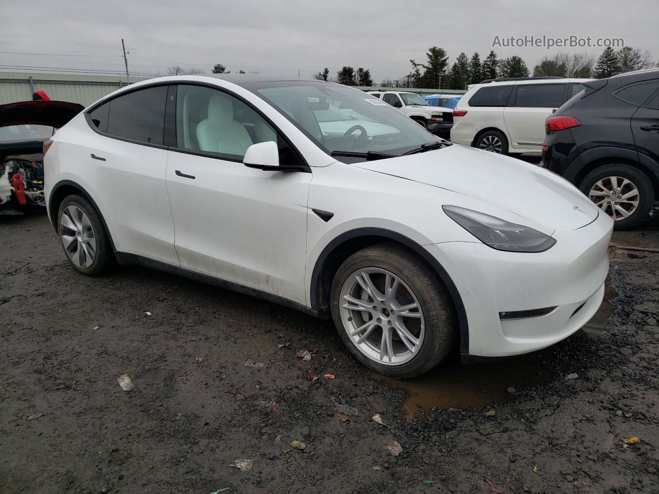 2022 Tesla Model Y  White vin: 7SAYGAEEXNF546115