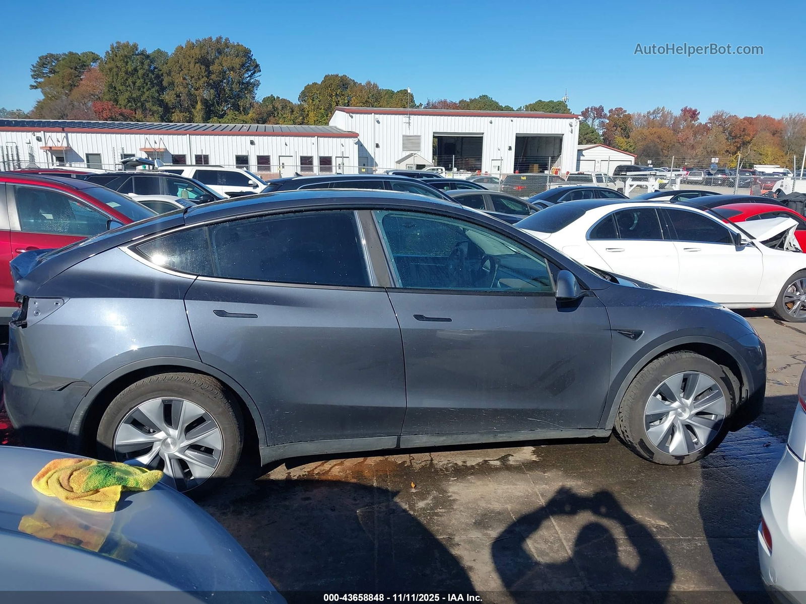 Price & History 2023 Tesla Model Y Rwd vin: 7SAYGDED8PF943012