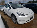 2022 Tesla Model Y  White vin: 7SAYGDEE0NF320103