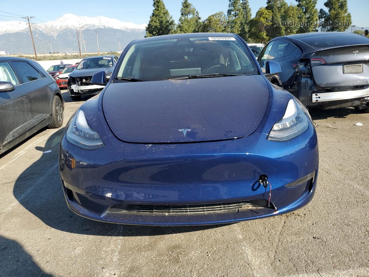 2022 Tesla Model Y  Синий vin: 7SAYGDEE0NF357216