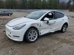 2022 Tesla Model Y  White vin: 7SAYGDEE1NF339288