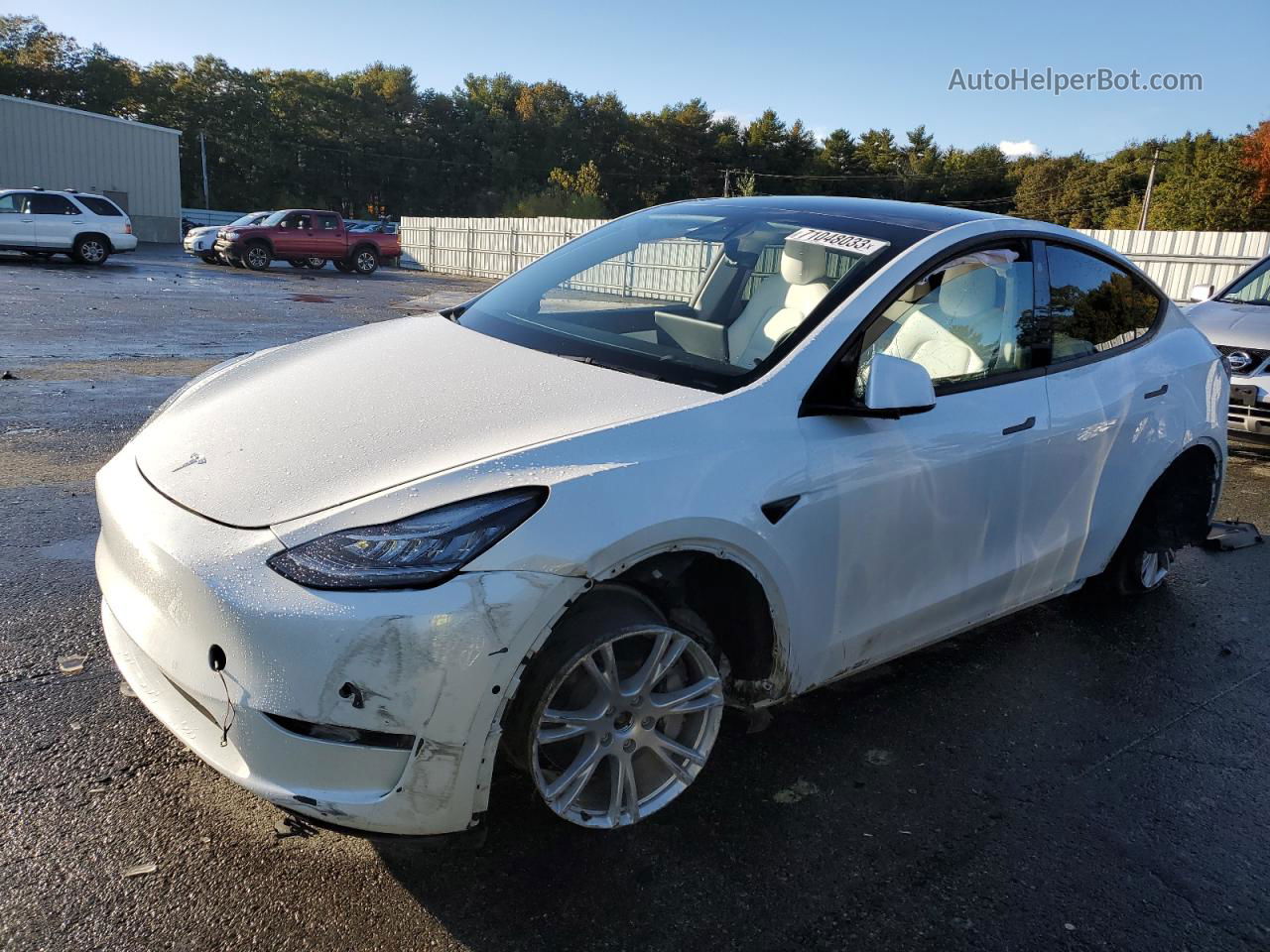 2022 Tesla Model Y  White vin: 7SAYGDEE3NF308799