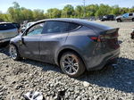 2022 Tesla Model Y  Gray vin: 7SAYGDEE3NF368632