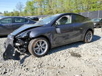 2022 Tesla Model Y  Gray vin: 7SAYGDEE3NF368632