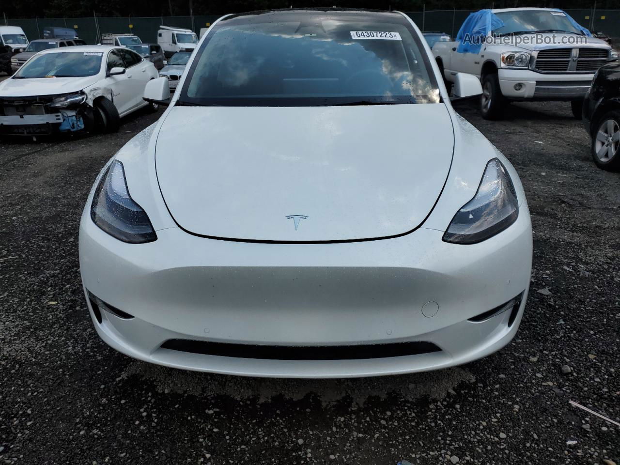 2022 Tesla Model Y  White vin: 7SAYGDEE4NF544880