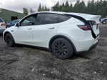 2022 Tesla Model Y  White vin: 7SAYGDEE4NF544880