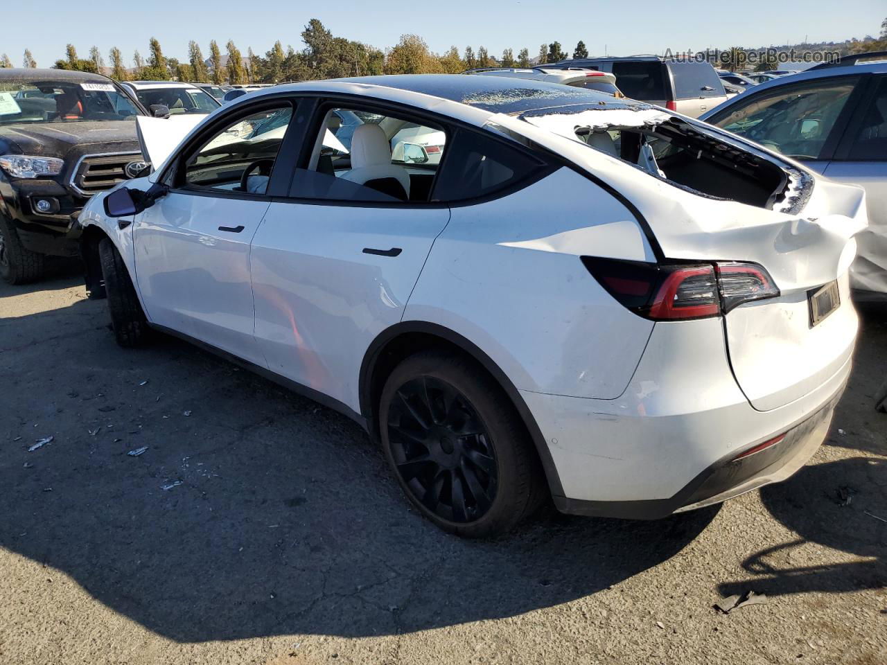 2022 Tesla Model Y  White vin: 7SAYGDEE4NF554888