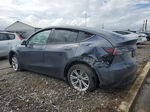 2022 Tesla Model Y  Gray vin: 7SAYGDEE5NF445890