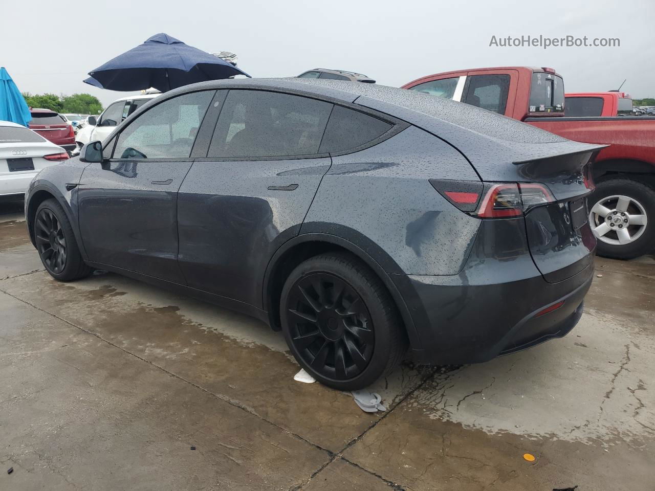 2022 Tesla Model Y  Gray vin: 7SAYGDEE6NF311017