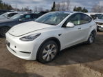 2022 Tesla Model Y  White vin: 7SAYGDEE6NF358564