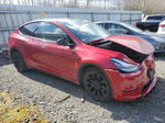 2022 Tesla Model Y  Red vin: 7SAYGDEE6NF386719