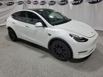 2022 Tesla Model Y  White vin: 7SAYGDEE9NF385712