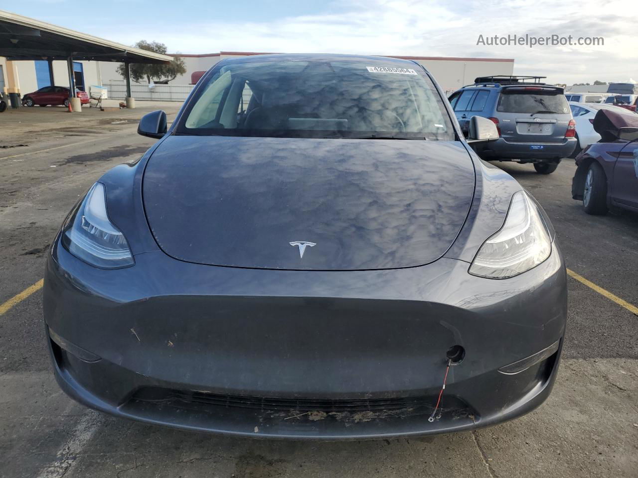 2022 Tesla Model Y  Серый vin: 7SAYGDEE9NF424668