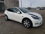 2022 Tesla Model Y  White vin: 7SAYGDEEXNF520003