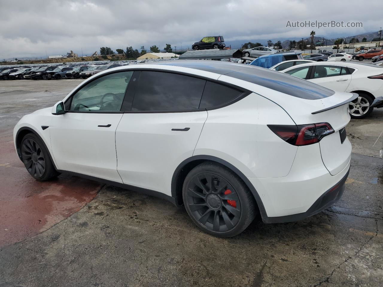 2022 Tesla Model Y White vin: 7SAYGDEF2NF532011