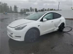 2022 Tesla Model Y  White vin: 7SAYGDEF3NF364802