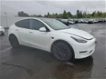 2022 Tesla Model Y  White vin: 7SAYGDEF3NF364802