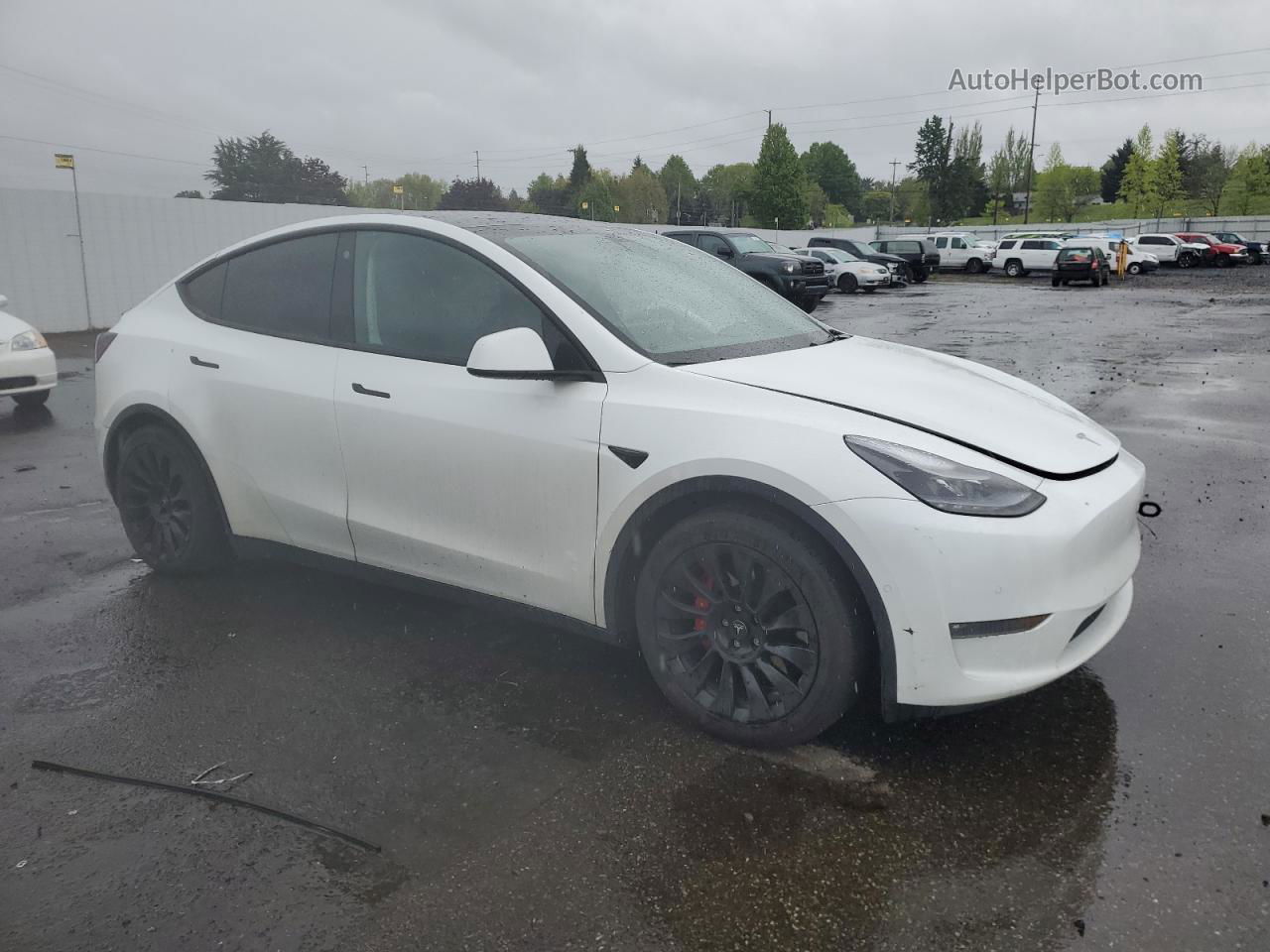 2022 Tesla Model Y  White vin: 7SAYGDEF3NF364802