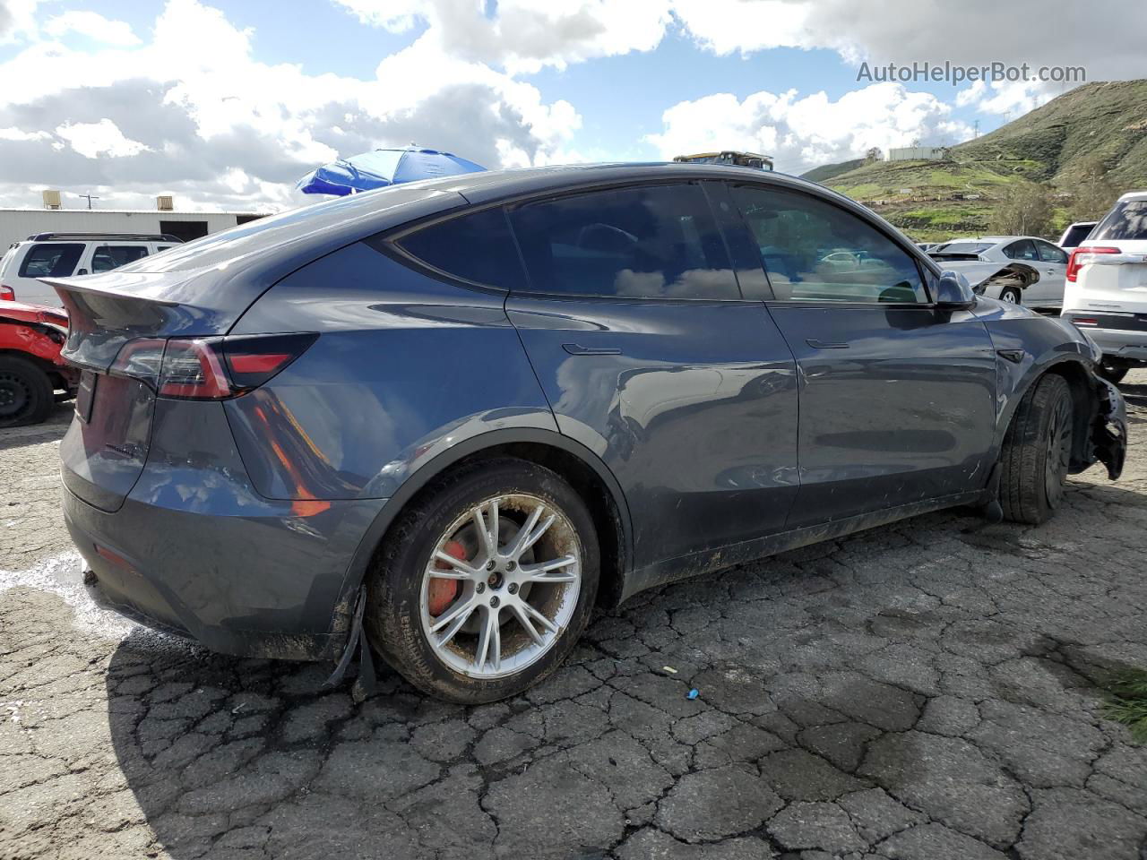 2022 Tesla Model Y  Серый vin: 7SAYGDEFXNF489828