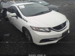 2015 Honda Civic Lx Белый vin: 19XFB2F5XFE290279