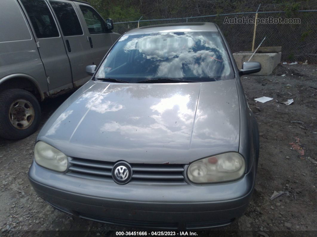 2005 Volkswagen Gti 1.8t Gray vin: 9BWDE61J754019941