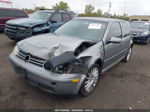 2005 Volkswagen Gti 1.8t Gray vin: 9BWDE61J954029659