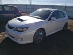 2009 Subaru Impreza Wrx White vin: JF1GH76689G810451