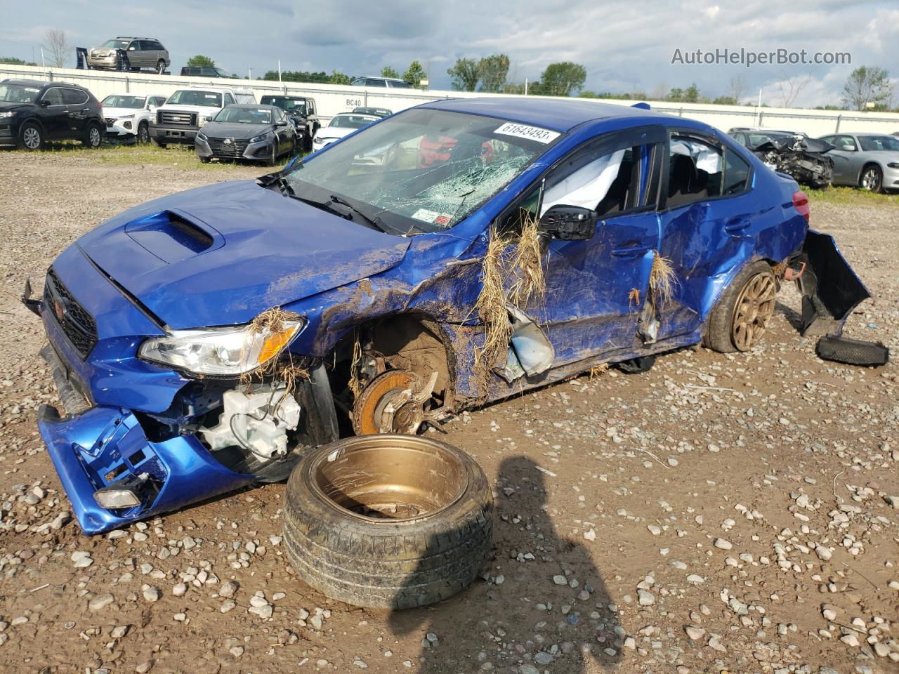 2021 Subaru Wrx  Blue vin: JF1VA1A66M9811465