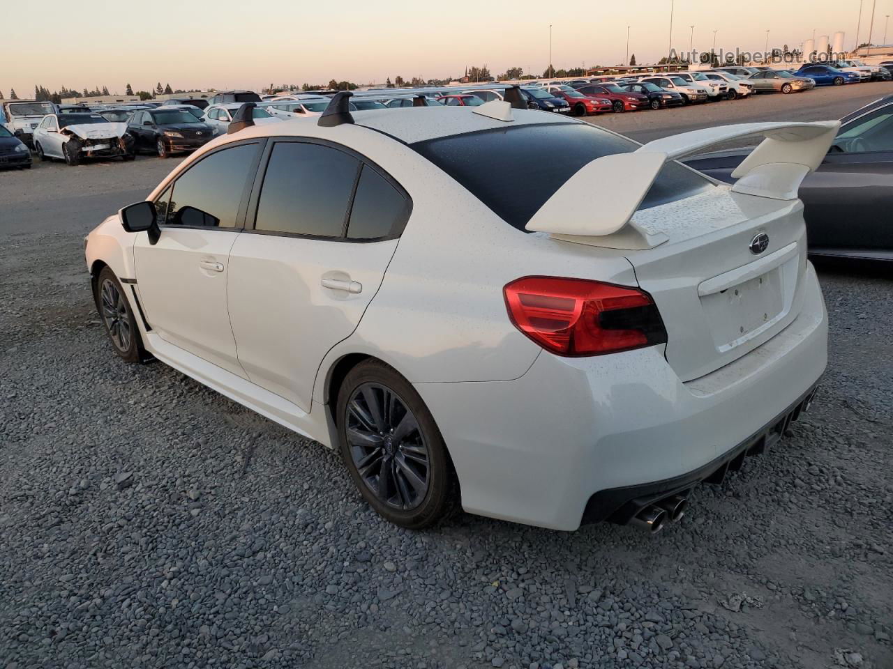 2020 Subaru Wrx  White vin: JF1VA1A6XL9801035