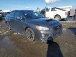 2021 Subaru Wrx Premium Gray vin: JF1VA1C66M9823547