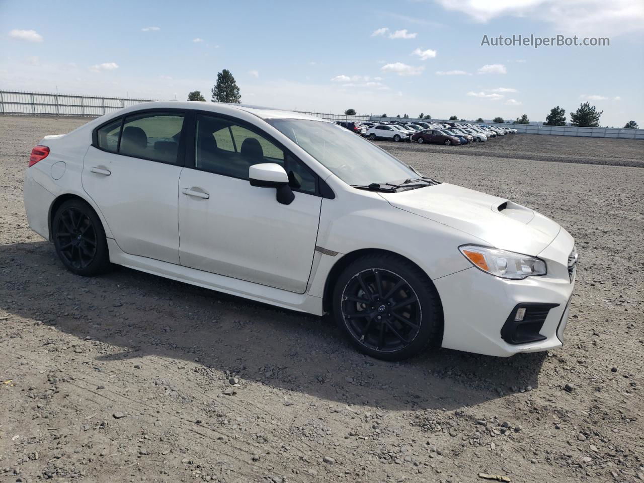 2020 Subaru Wrx Premium White vin: JF1VA1F66L8812354