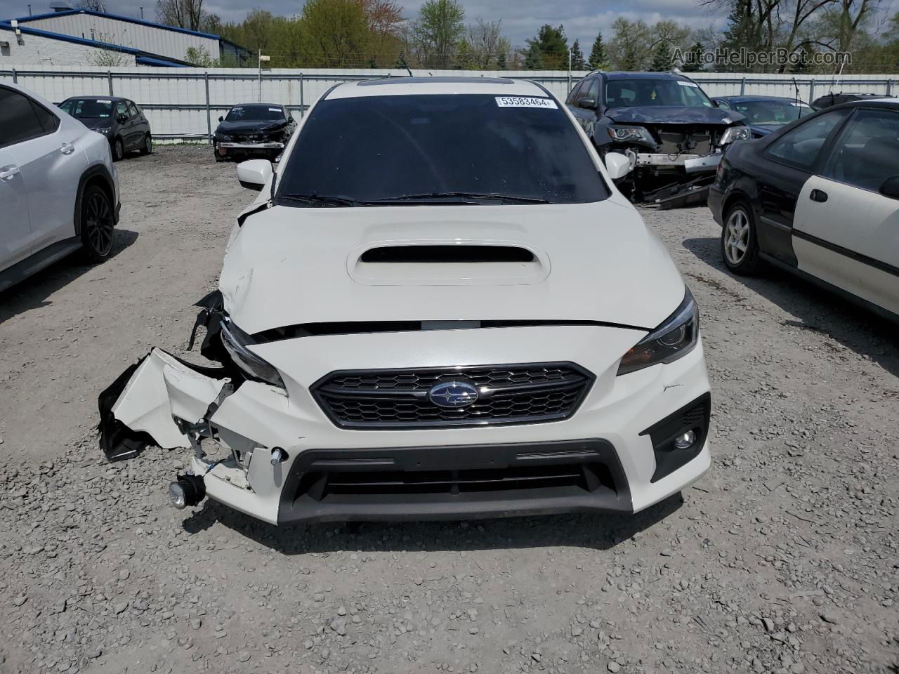 2021 Subaru Wrx Limited Белый vin: JF1VA1N65M8805852