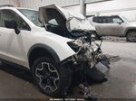 2014 Subaru Xv Crosstrek 2.0i Premium Белый vin: JF2GPACC1E8307743