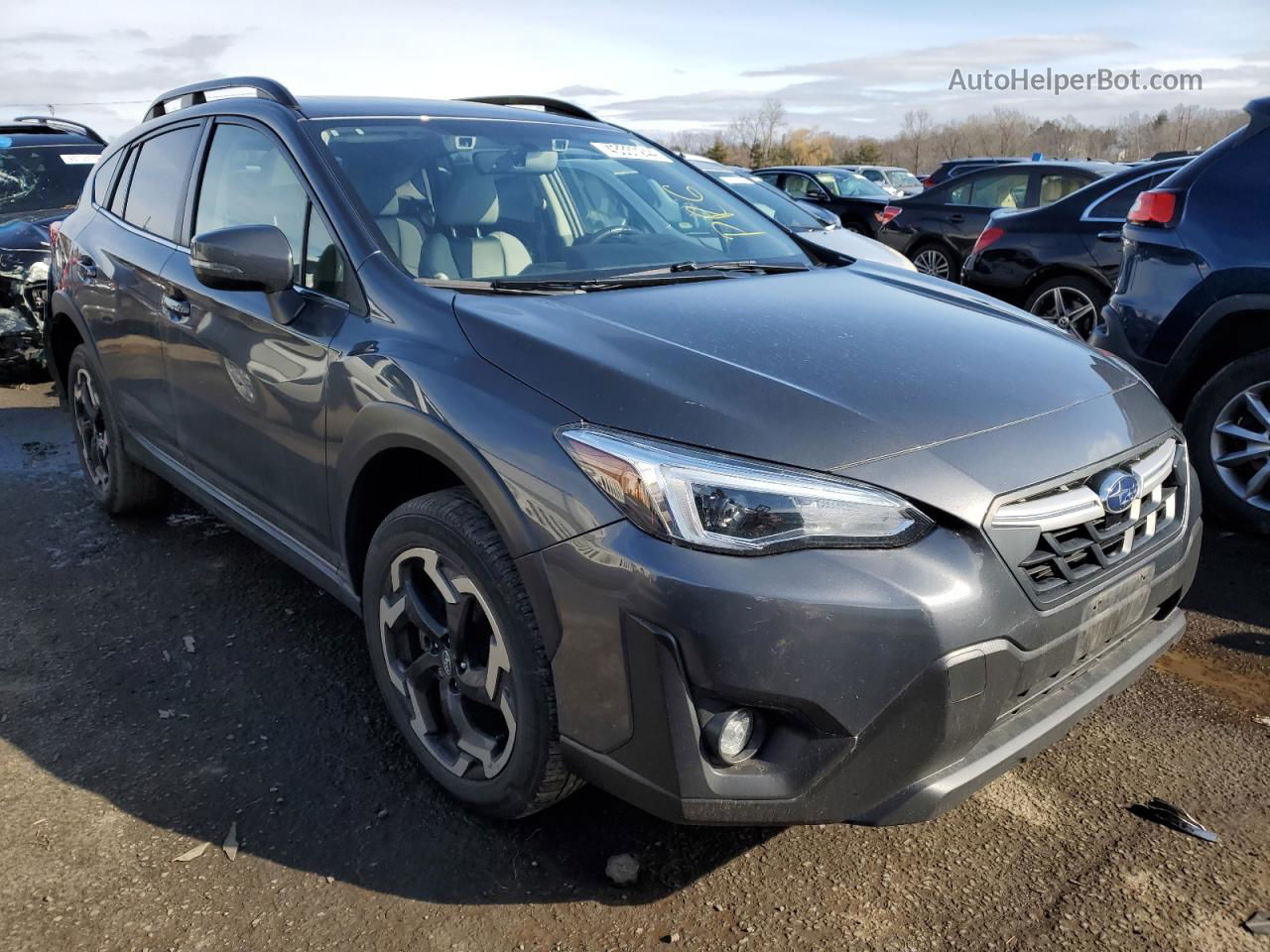 2021 Subaru Crosstrek Limited Gray vin: JF2GTHNCXM8230483