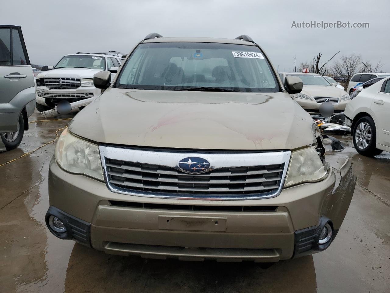 2009 Subaru Forester 2.5x Limited Gold vin: JF2SH64659H710305