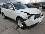 2010 Subaru Forester 2.5x Limited Белый vin: JF2SH6DC5AH761488