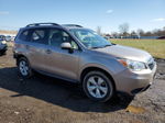 2016 Subaru Forester 2.5i Limited Beige vin: JF2SJAHC0GH491418