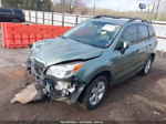 2016 Subaru Forester 2.5i Limited Green vin: JF2SJAHC0GH494920