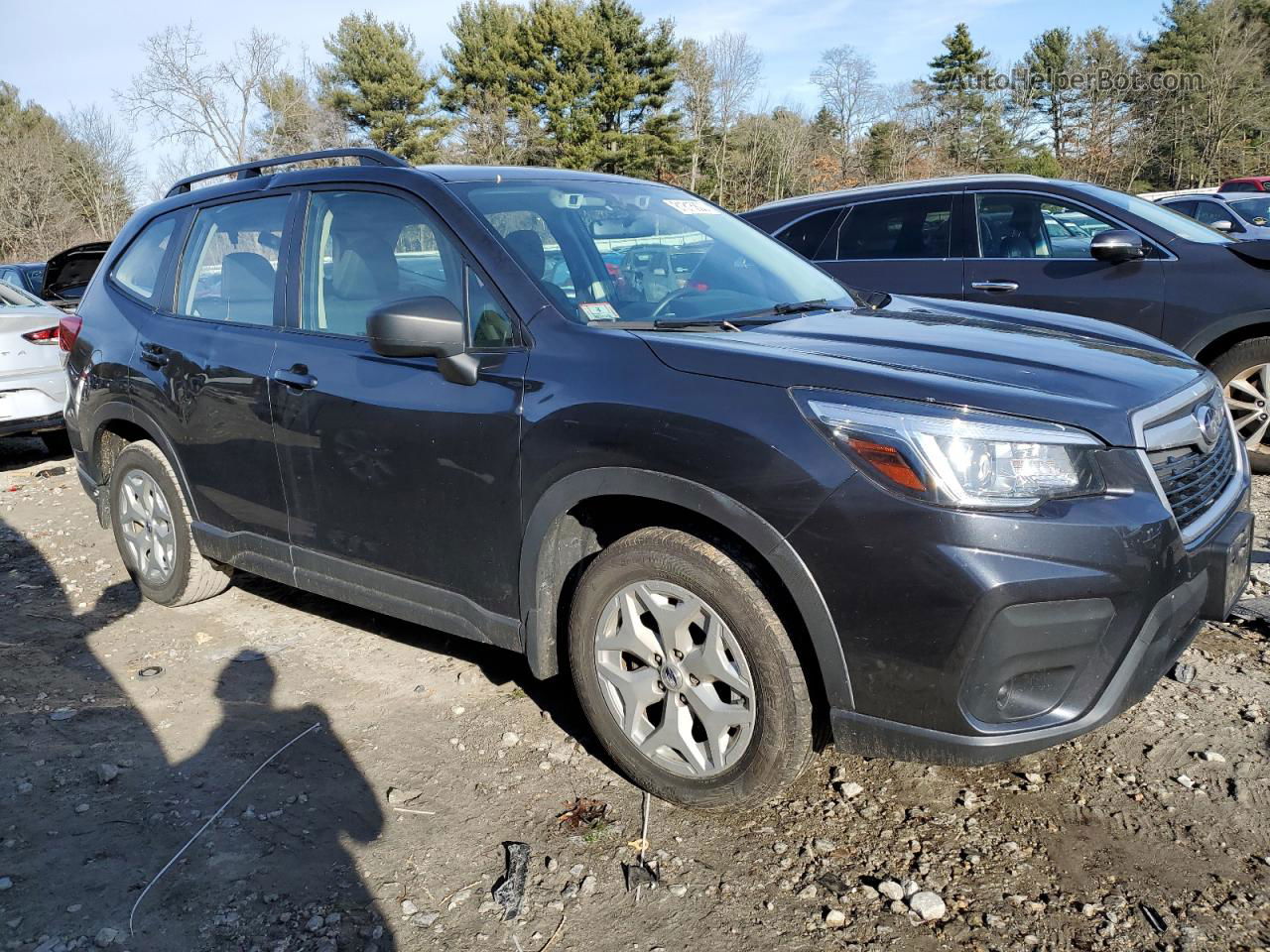 2019 Subaru Forester  Серый vin: JF2SKACC1KH453466