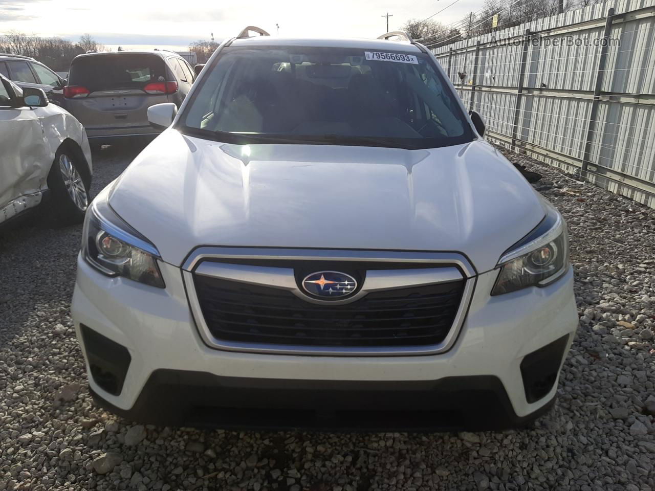 2019 Subaru Forester Premium White vin: JF2SKAEC2KH536451